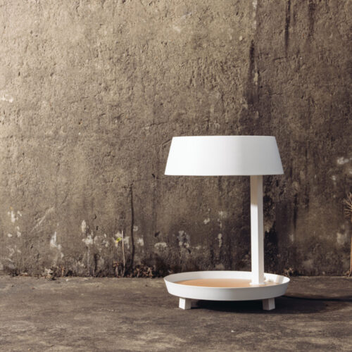 Carry Table Lamp - CLEARANCE