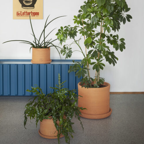 Vavava’ Planters