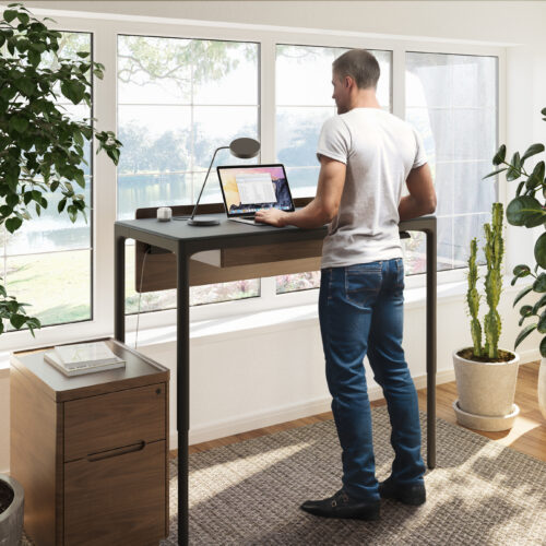 Luma Lift Desk