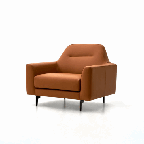 Andes Lounge Chair